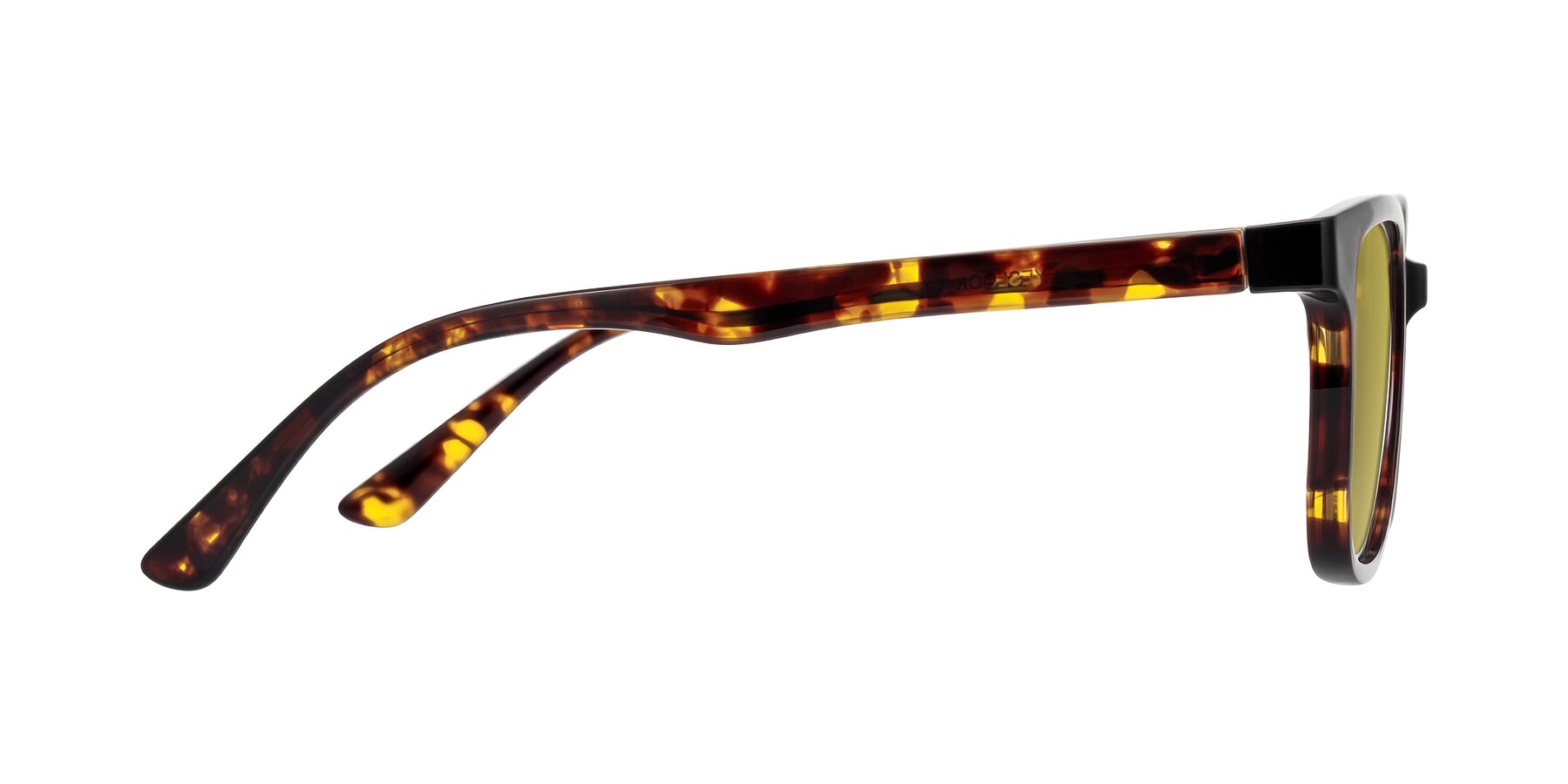 Side of Joynton in Tortoise with Champagne Tinted Lenses