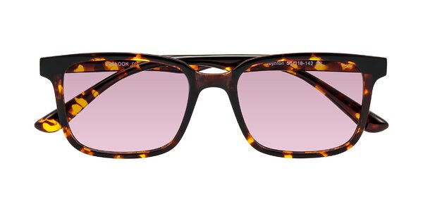 Front of Joynton in Tortoise