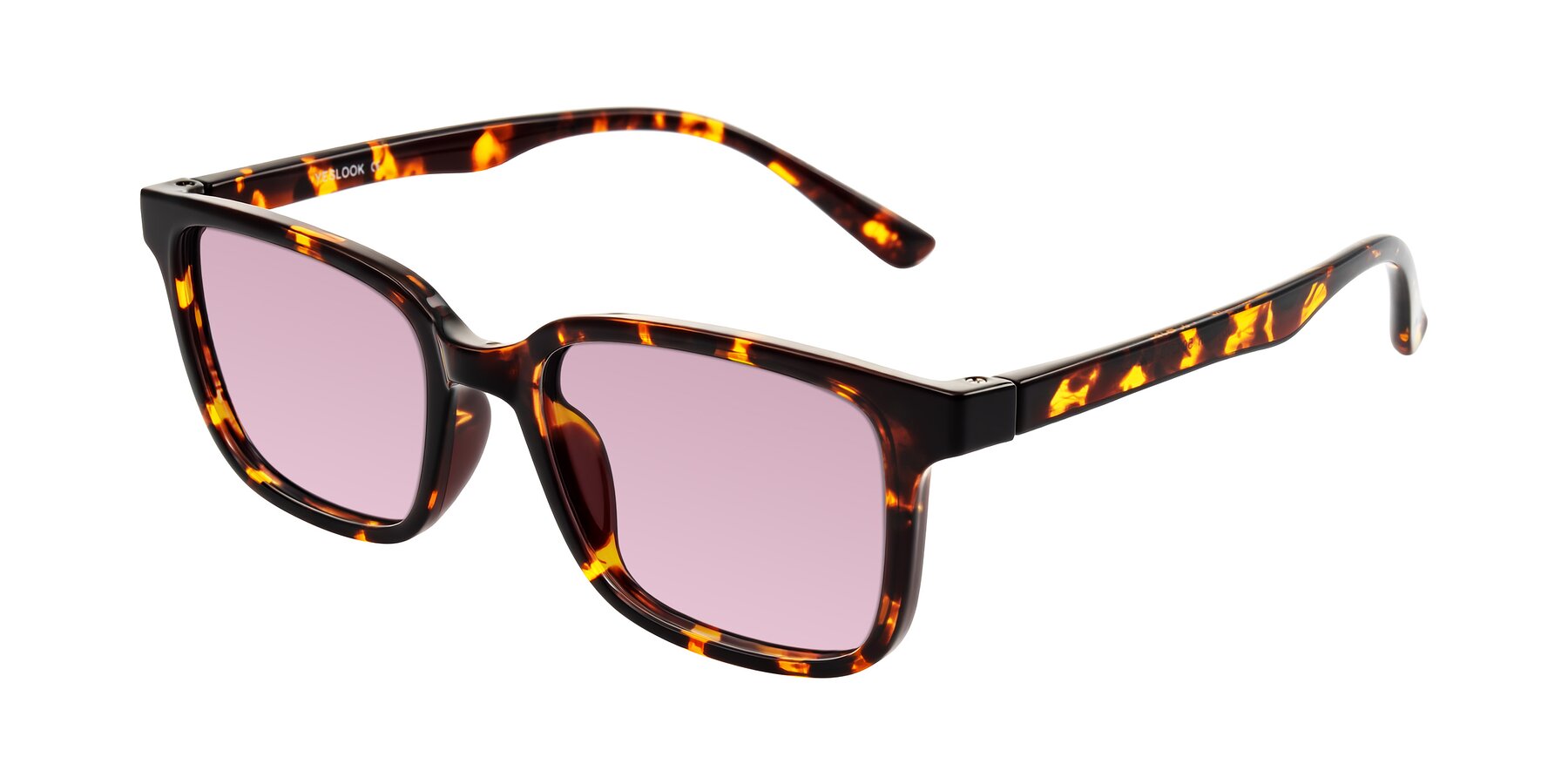 Angle of Joynton in Tortoise with Light Wine Tinted Lenses