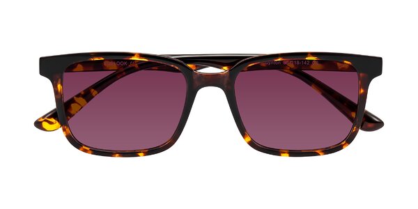 Front of Joynton in Tortoise