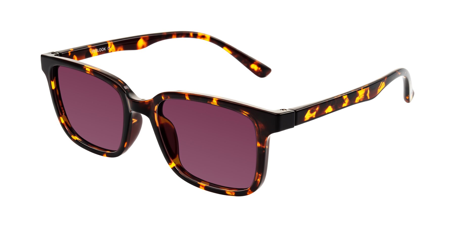 Angle of Joynton in Tortoise with Wine Tinted Lenses