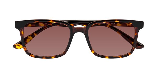 Front of Joynton in Tortoise