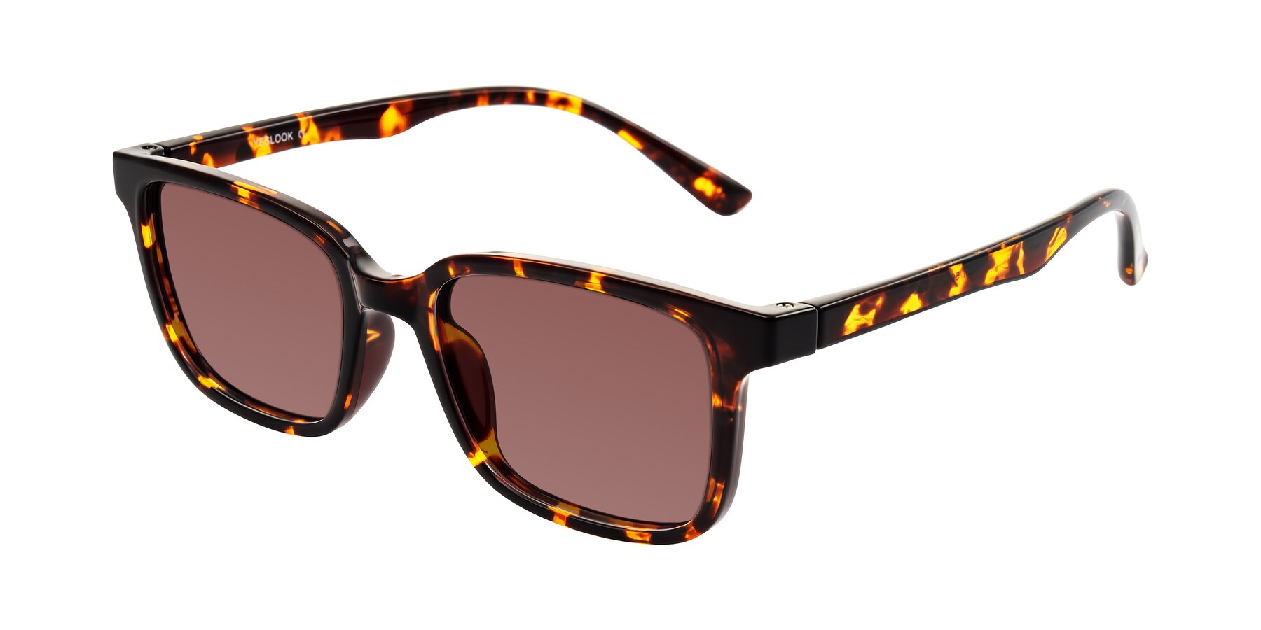 Angle of Joynton in Tortoise with Garnet Tinted Lenses