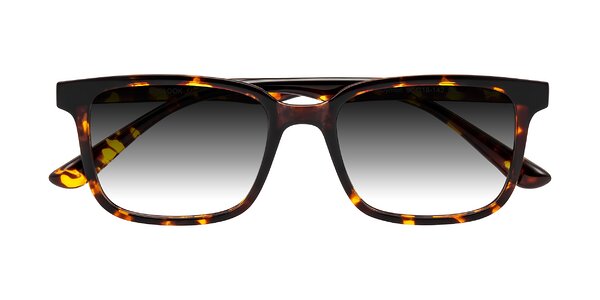 Front of Joynton in Tortoise