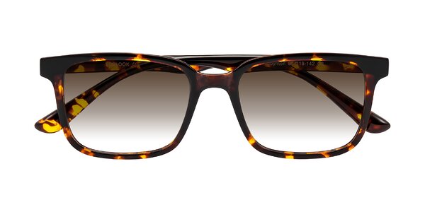 Front of Joynton in Tortoise