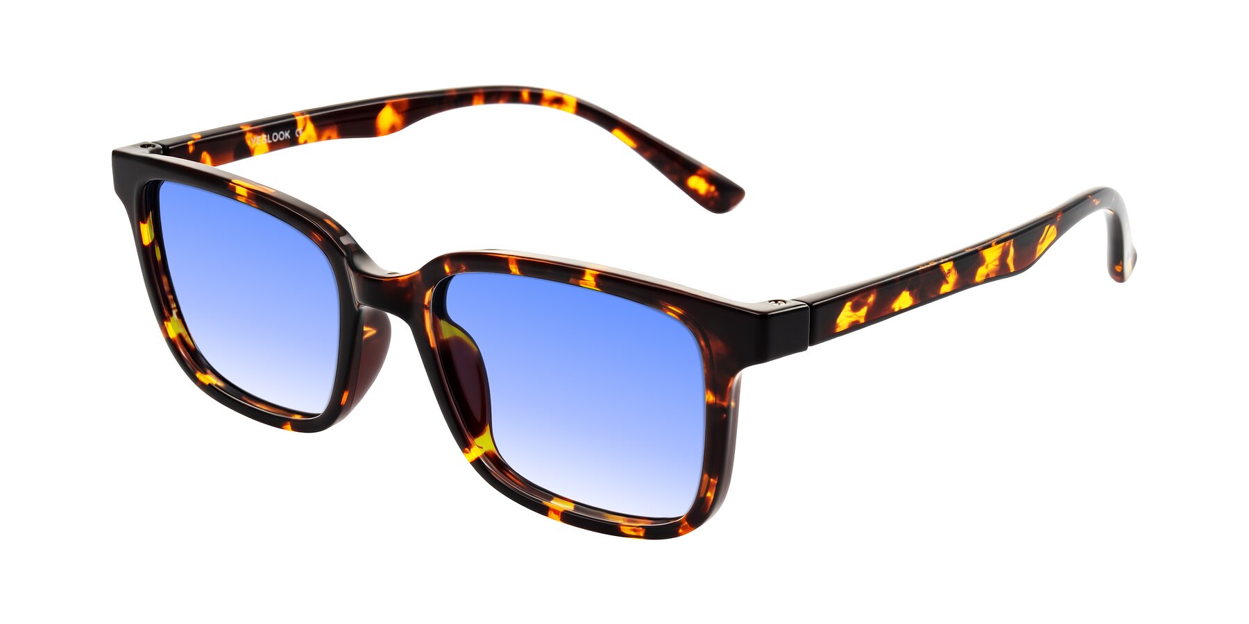 Angle of Joynton in Tortoise with Blue Gradient Lenses