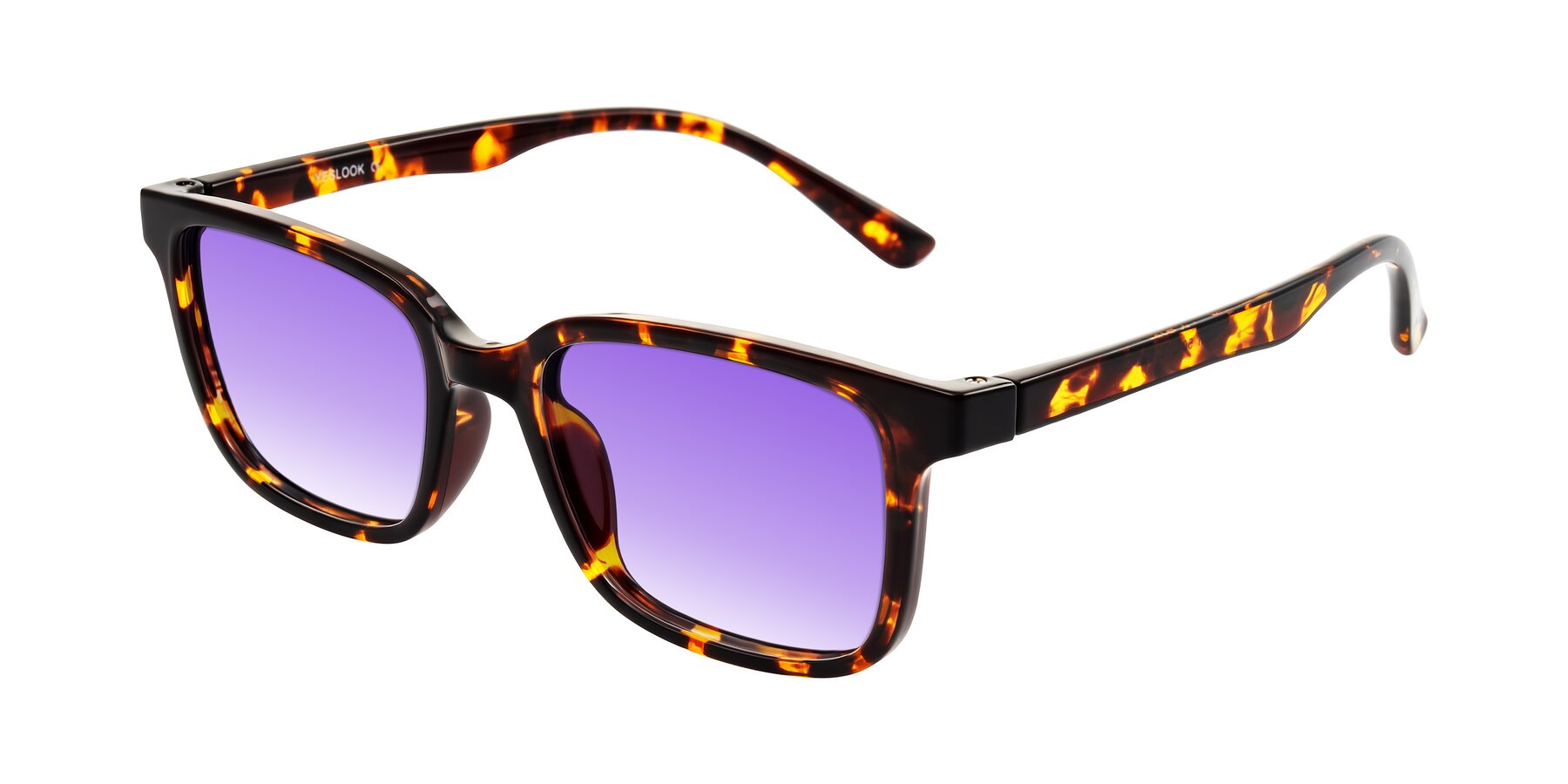 Angle of Joynton in Tortoise with Purple Gradient Lenses