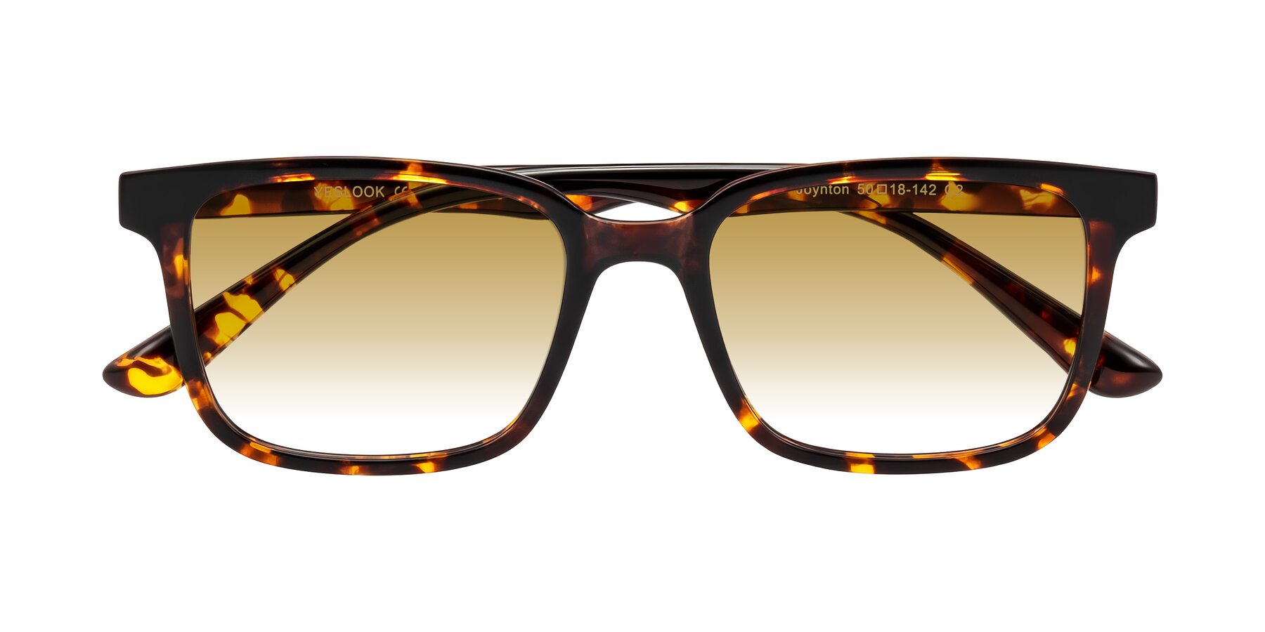 Folded Front of Joynton in Tortoise with Champagne Gradient Lenses