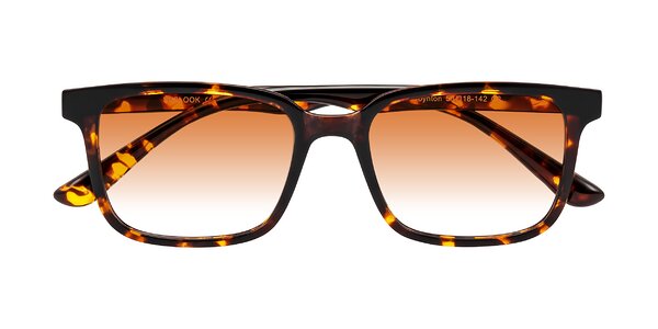 Front of Joynton in Tortoise