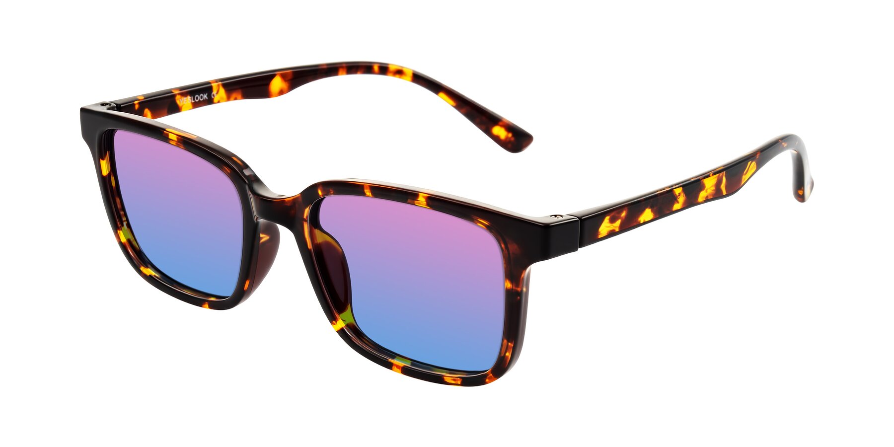 Angle of Joynton in Tortoise with Pink / Blue Gradient Lenses