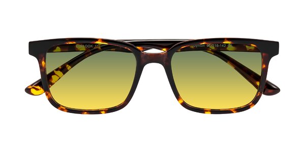 Front of Joynton in Tortoise