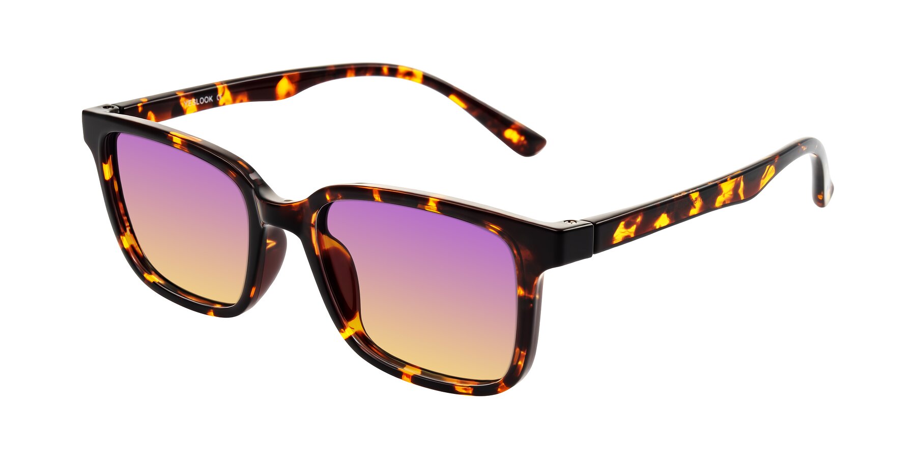 Angle of Joynton in Tortoise with Purple / Yellow Gradient Lenses
