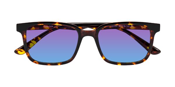 Front of Joynton in Tortoise