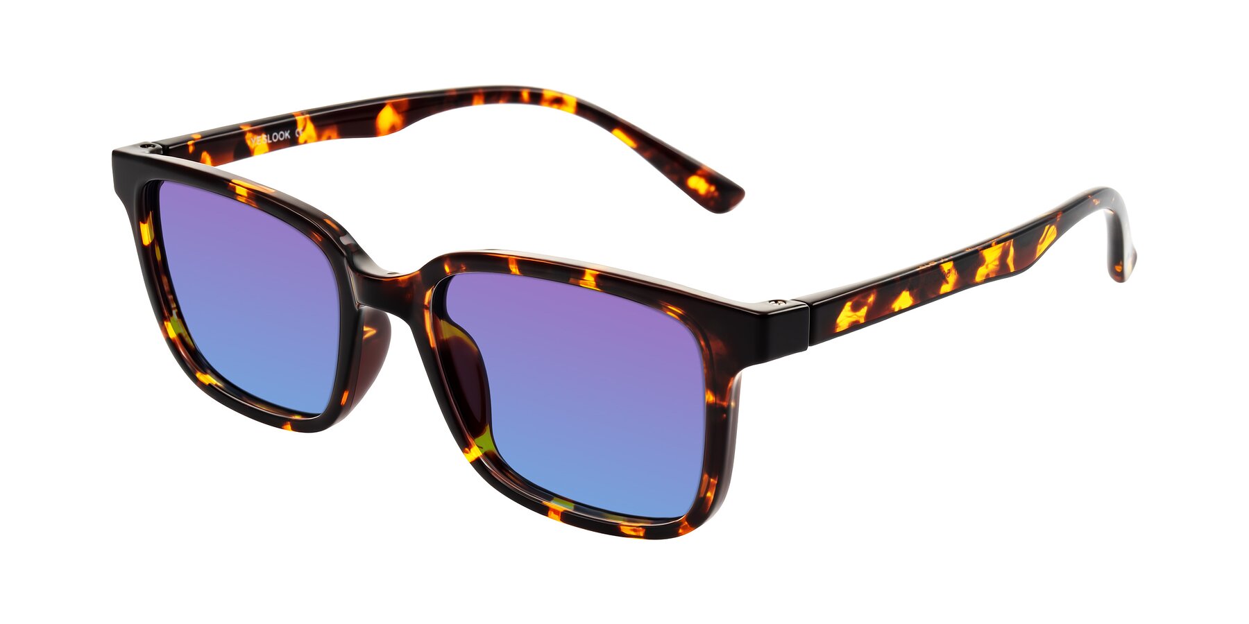 Angle of Joynton in Tortoise with Purple / Blue Gradient Lenses