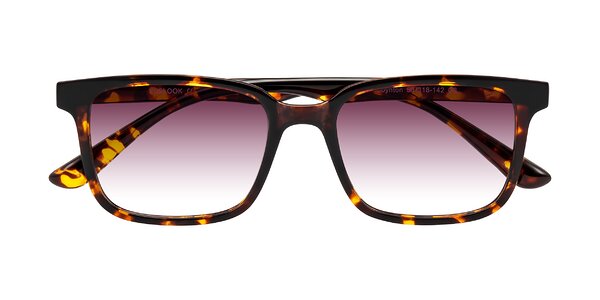 Front of Joynton in Tortoise