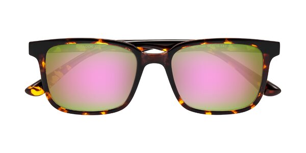 Front of Joynton in Tortoise