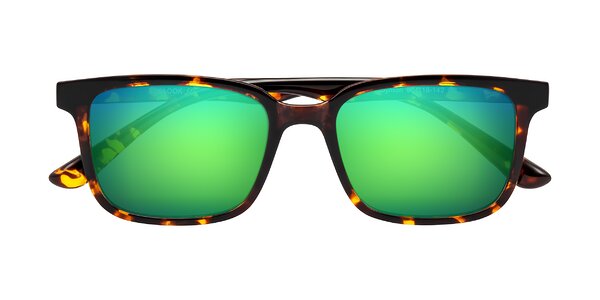 Front of Joynton in Tortoise