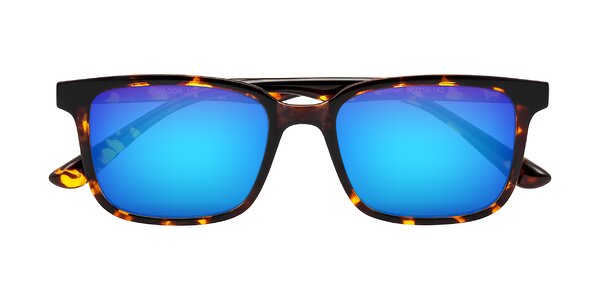 Front of Joynton in Tortoise