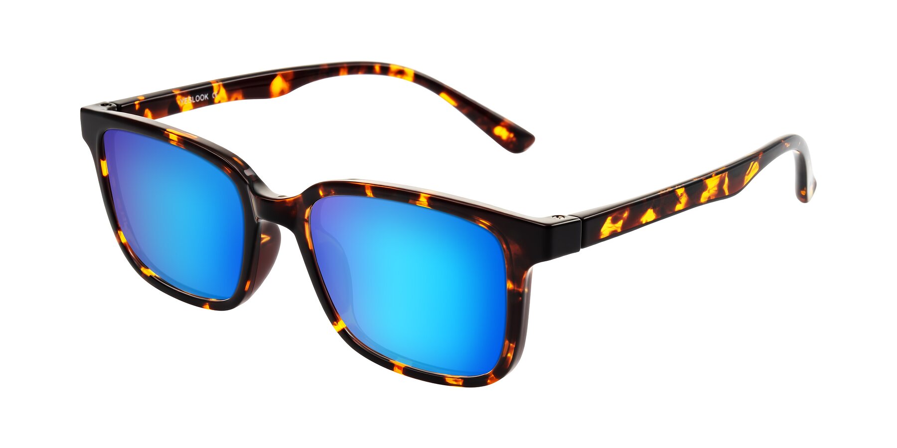 Angle of Joynton in Tortoise with Blue Mirrored Lenses