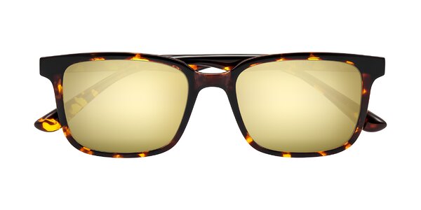 Front of Joynton in Tortoise