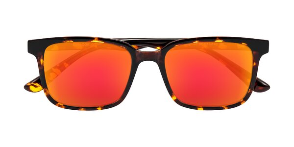 Front of Joynton in Tortoise