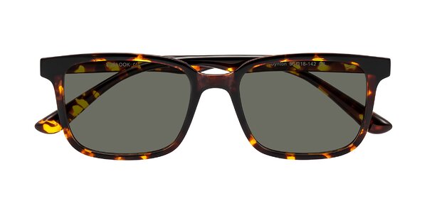 Front of Joynton in Tortoise