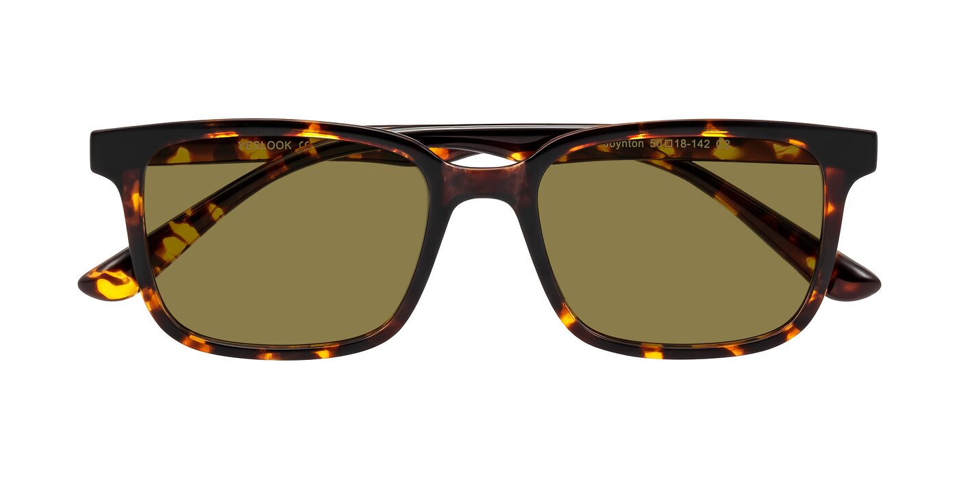 Joynton - Tortoise Polarized Sunglasses