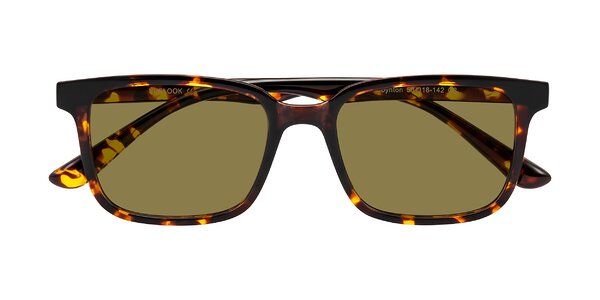 Front of Joynton in Tortoise
