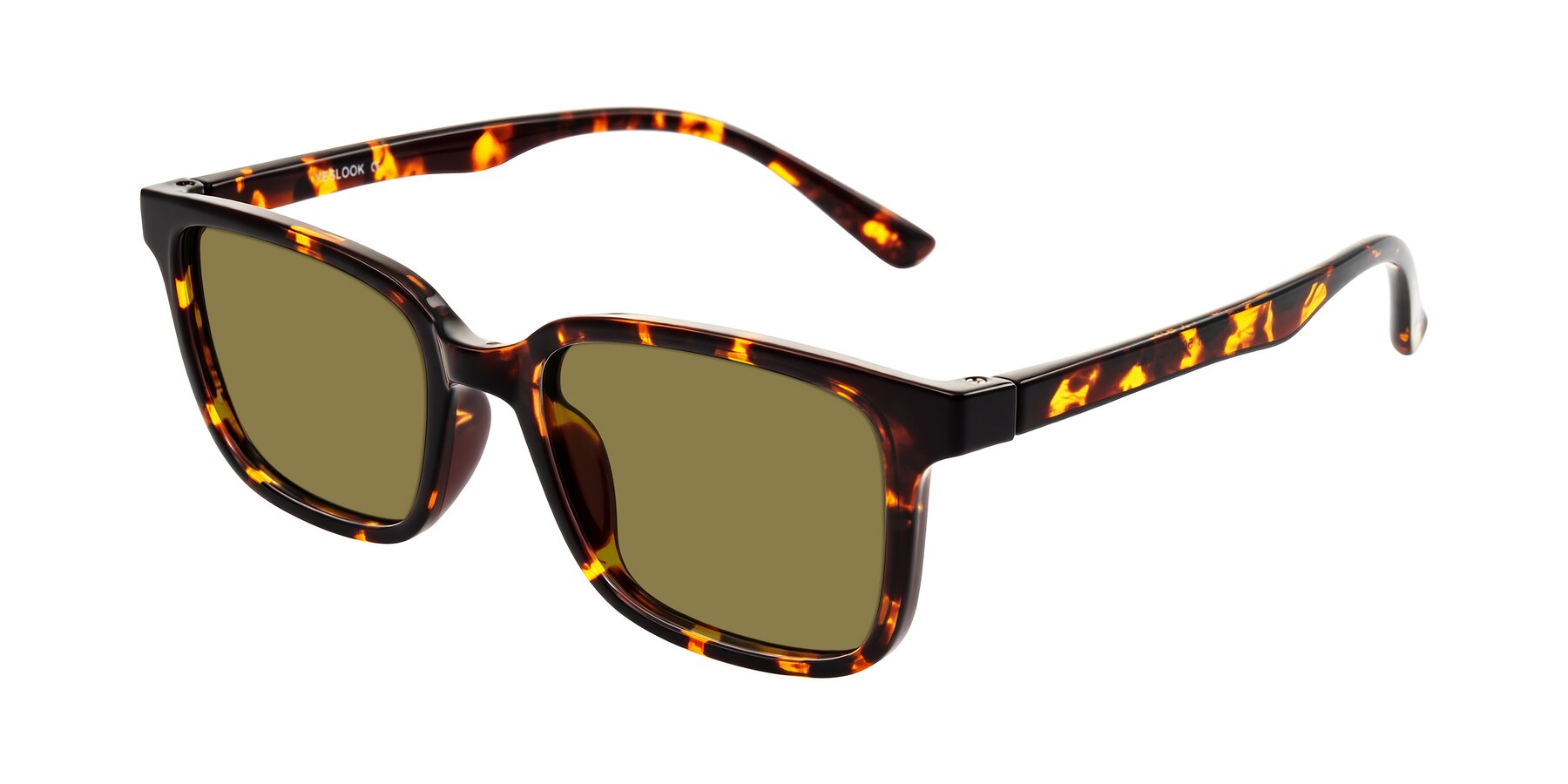 Angle of Joynton in Tortoise with Brown Polarized Lenses
