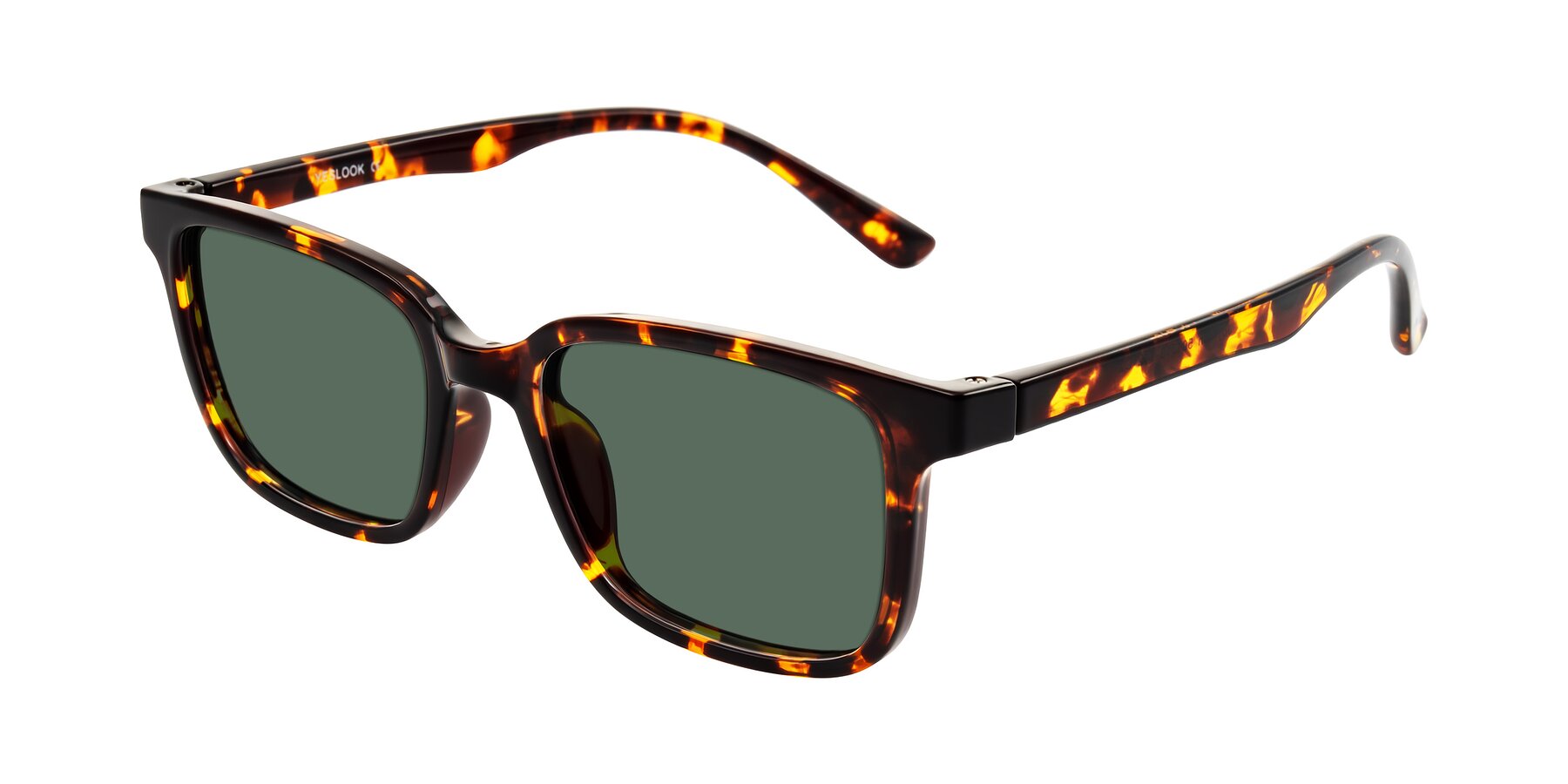 Angle of Joynton in Tortoise with Green Polarized Lenses