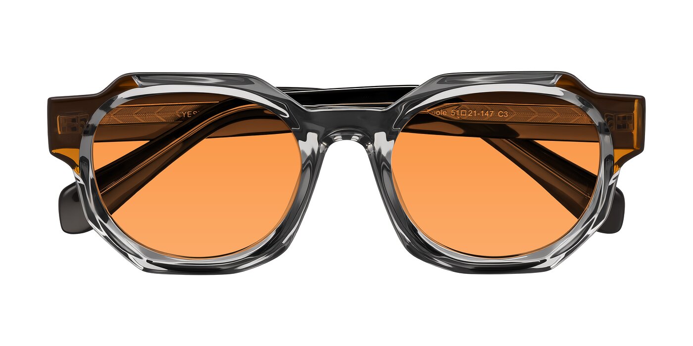 Poole - Transparent Gray Tinted Sunglasses