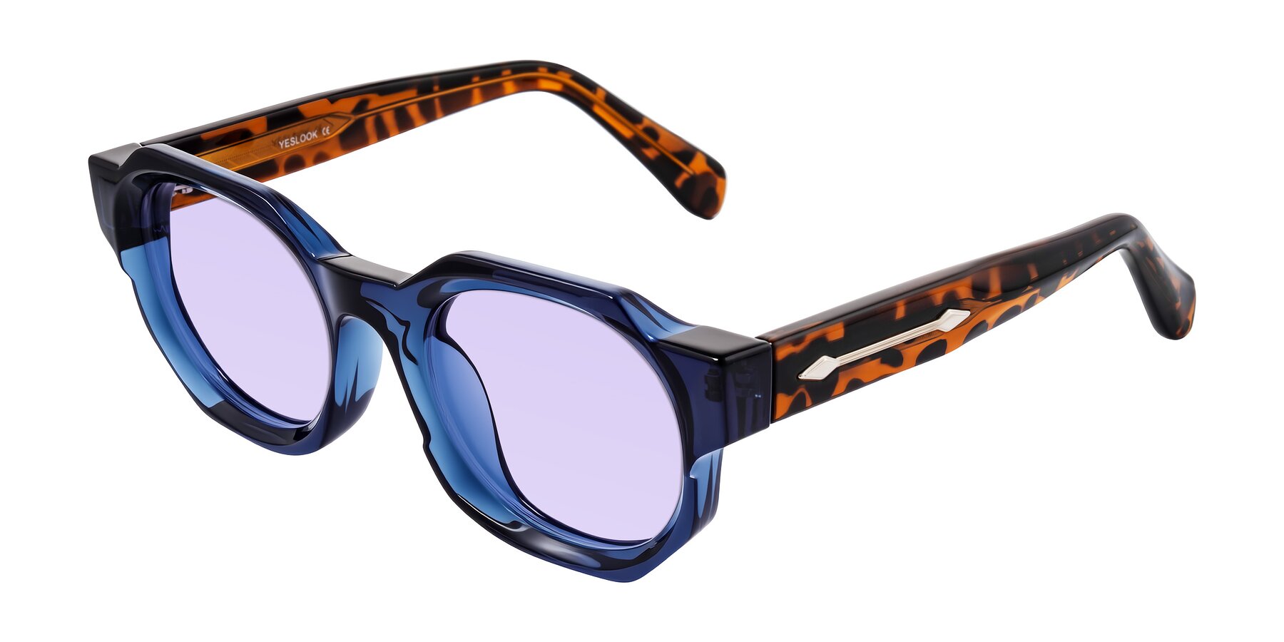 Angle of Poole in Blue/Leopard-Print with Light Purple Tinted Lenses