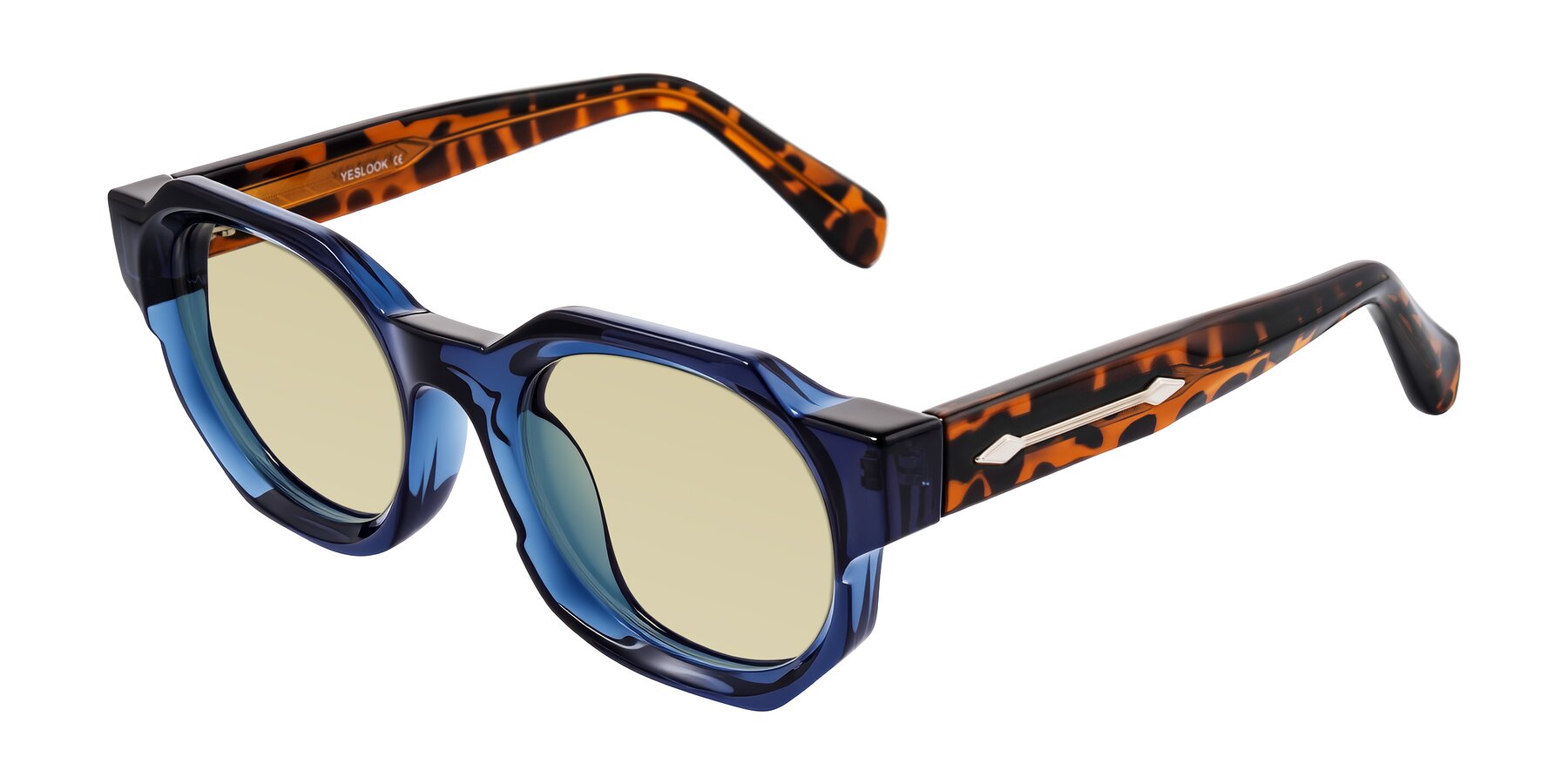 Angle of Poole in Blue/Leopard-Print with Light Champagne Tinted Lenses