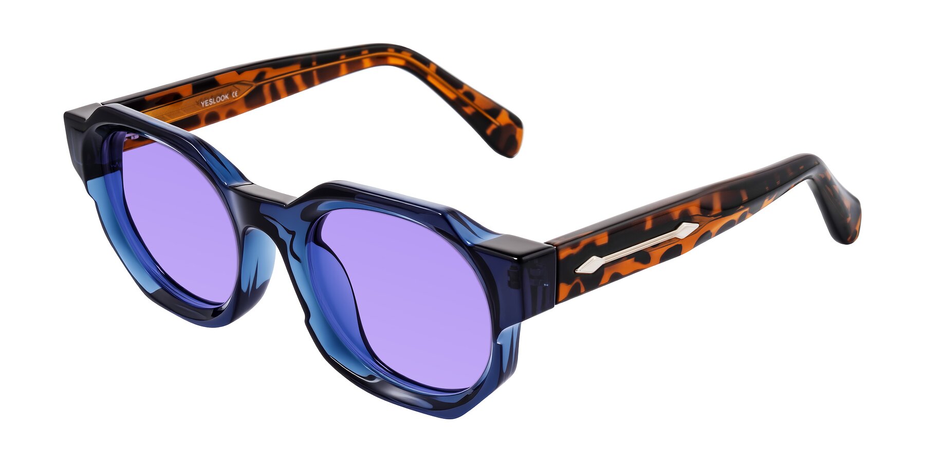 Angle of Poole in Blue/Leopard-Print with Medium Purple Tinted Lenses