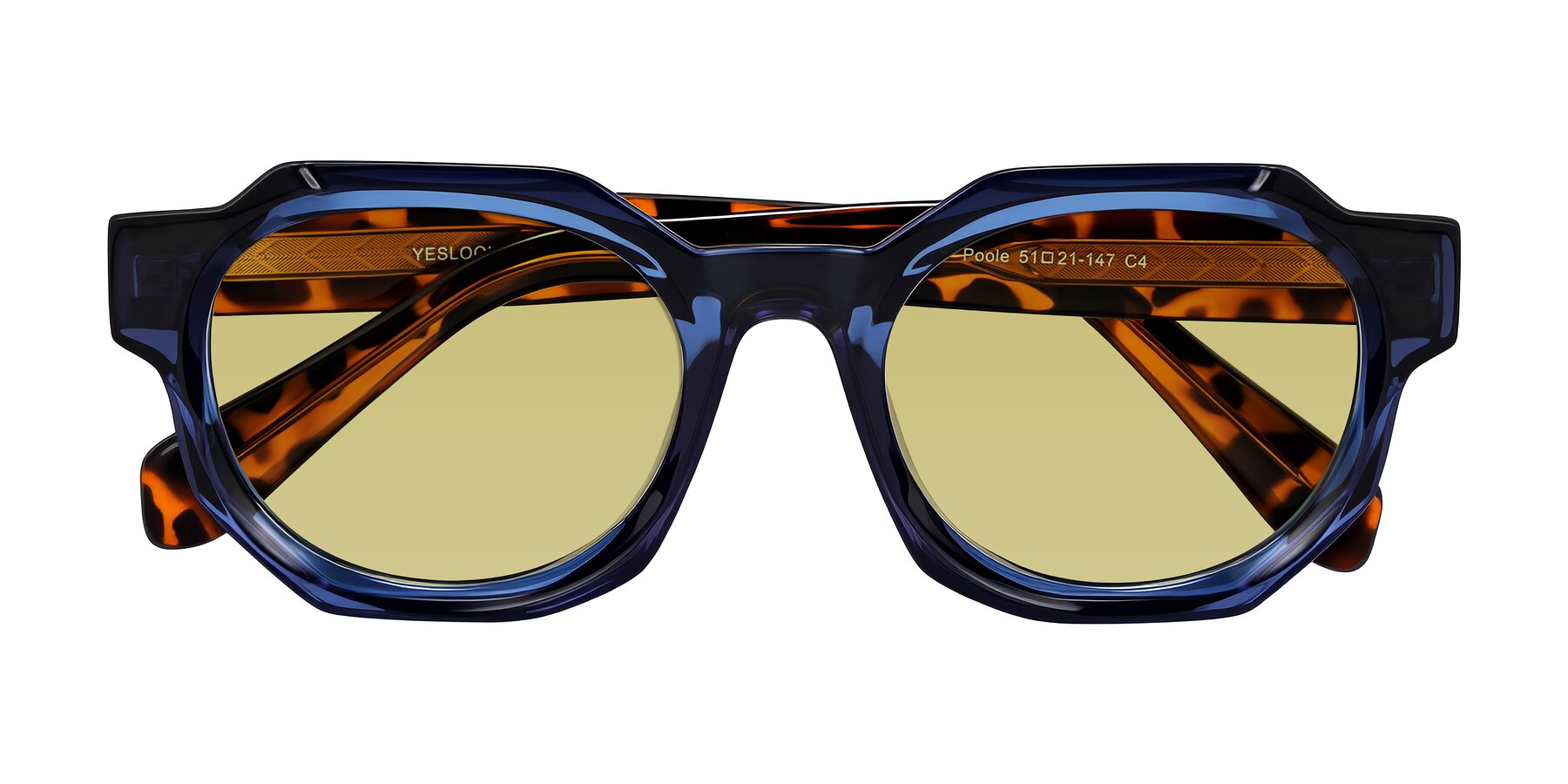 Folded Front of Poole in Blue/Leopard-Print with Medium Champagne Tinted Lenses