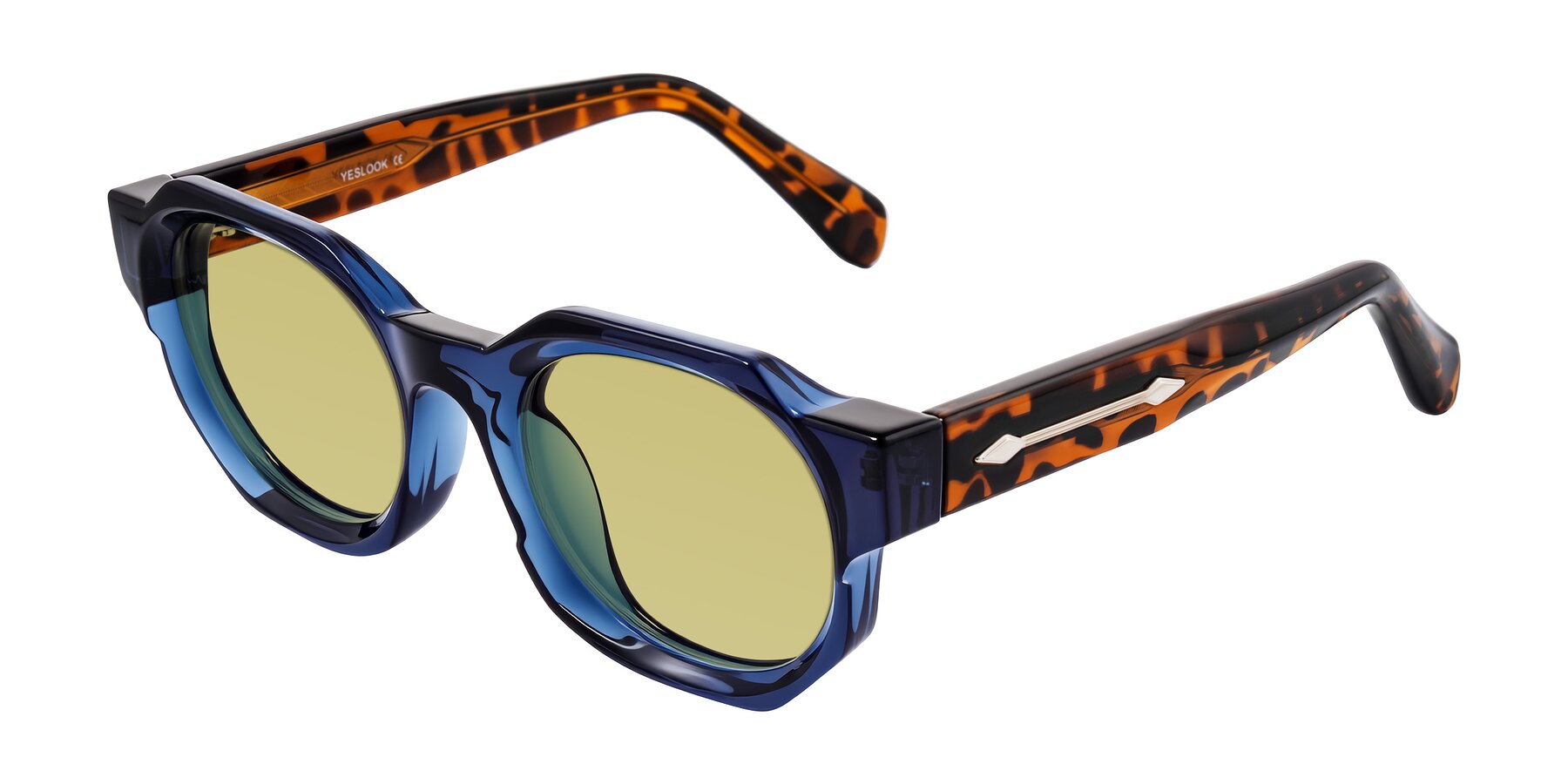 Angle of Poole in Blue/Leopard-Print with Medium Champagne Tinted Lenses