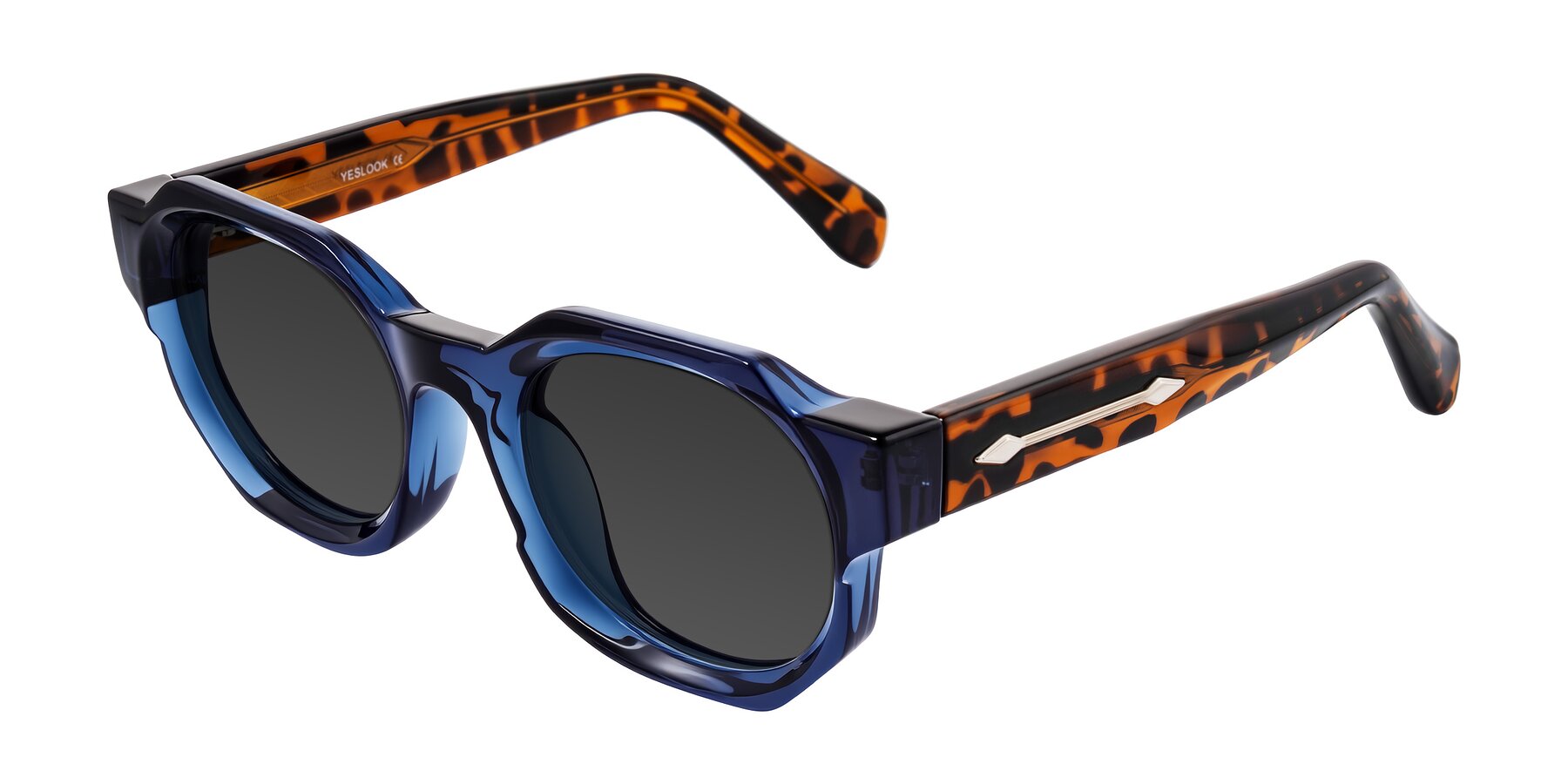 Angle of Poole in Blue/Leopard-Print with Gray Tinted Lenses