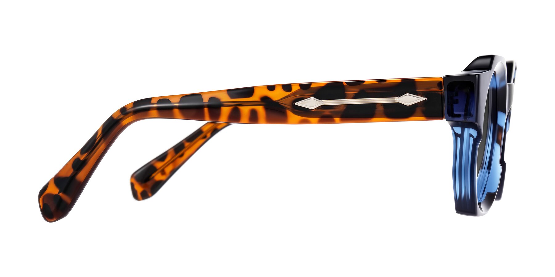 Side of Poole in Blue/Leopard-Print with Gray Tinted Lenses