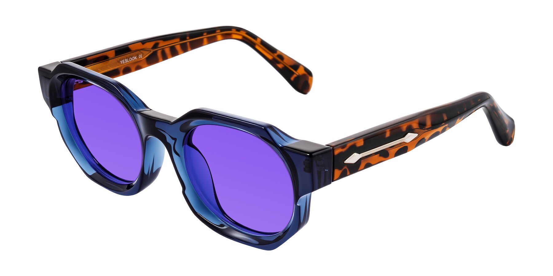 Angle of Poole in Blue/Leopard-Print with Purple Tinted Lenses