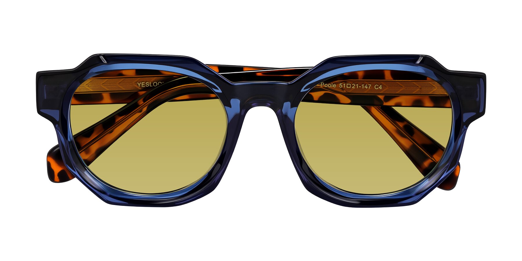 Folded Front of Poole in Blue/Leopard-Print with Champagne Tinted Lenses