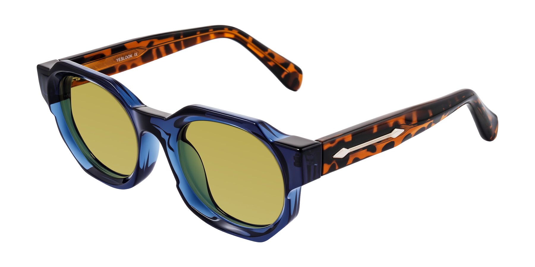 Angle of Poole in Blue/Leopard-Print with Champagne Tinted Lenses