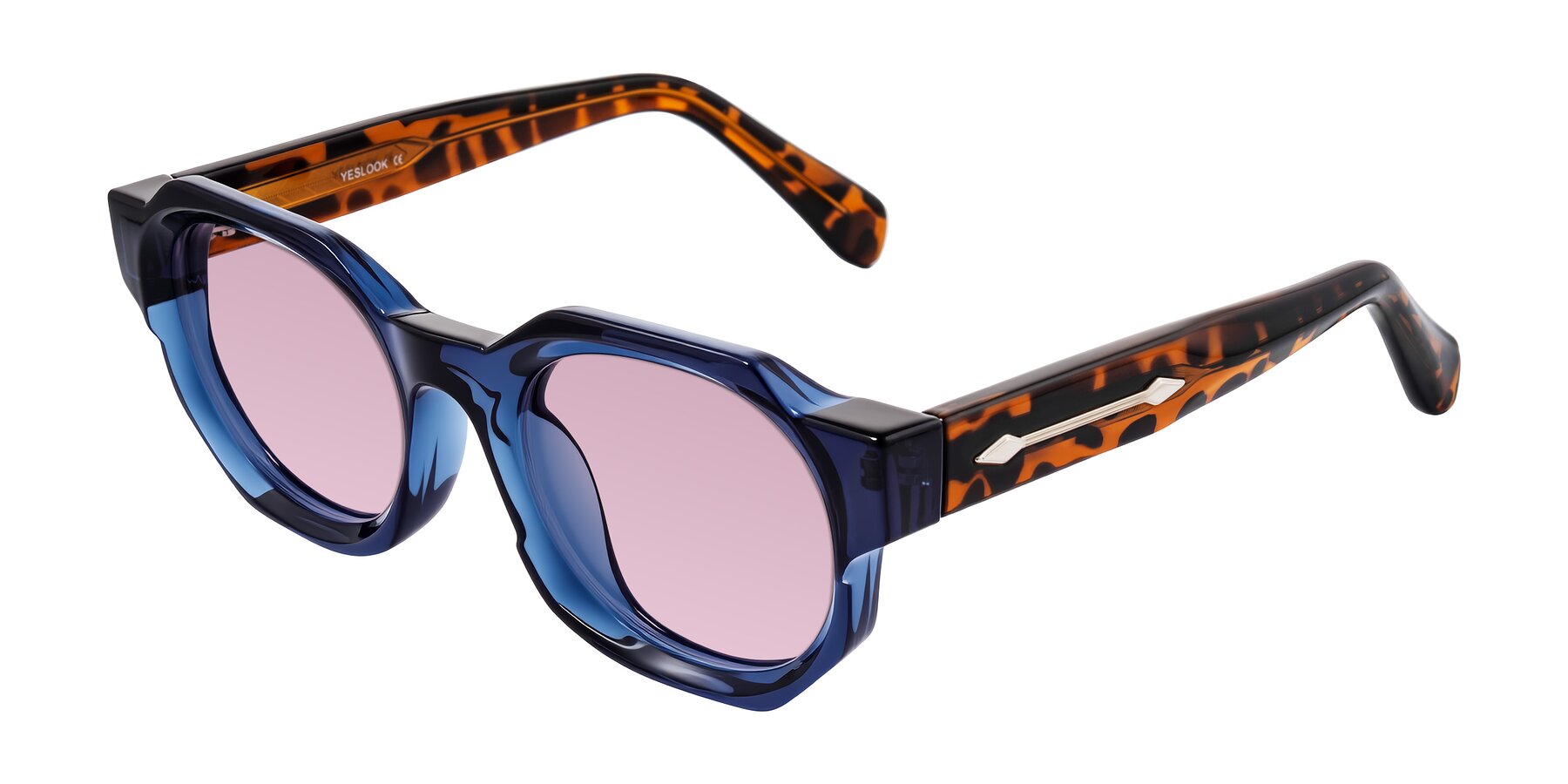 Angle of Poole in Blue/Leopard-Print with Light Wine Tinted Lenses