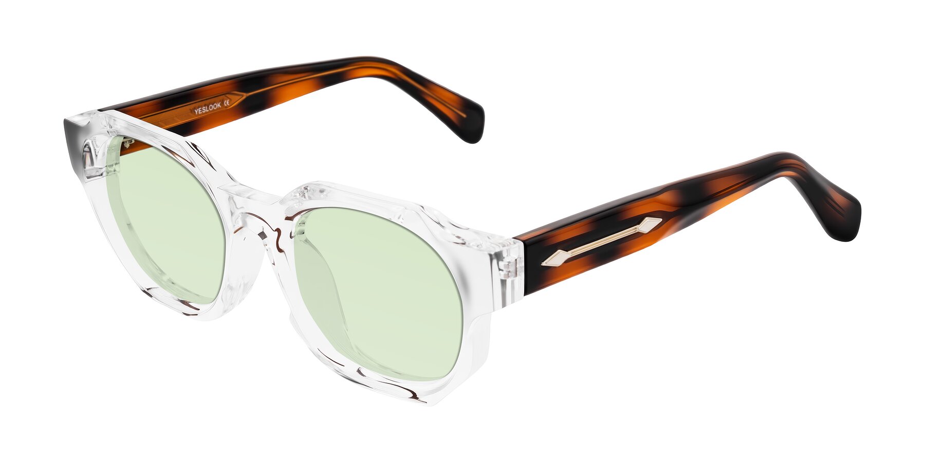 Angle of Poole in Clear/Tortoise with Light Green Tinted Lenses