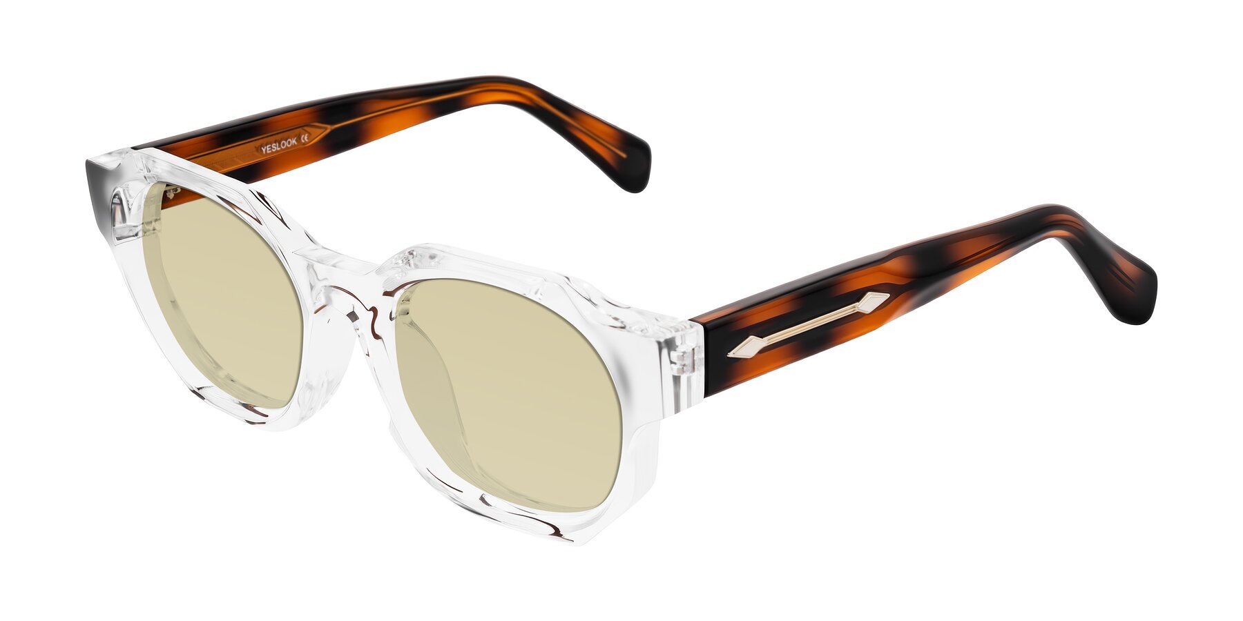 Angle of Poole in Clear/Tortoise with Light Champagne Tinted Lenses
