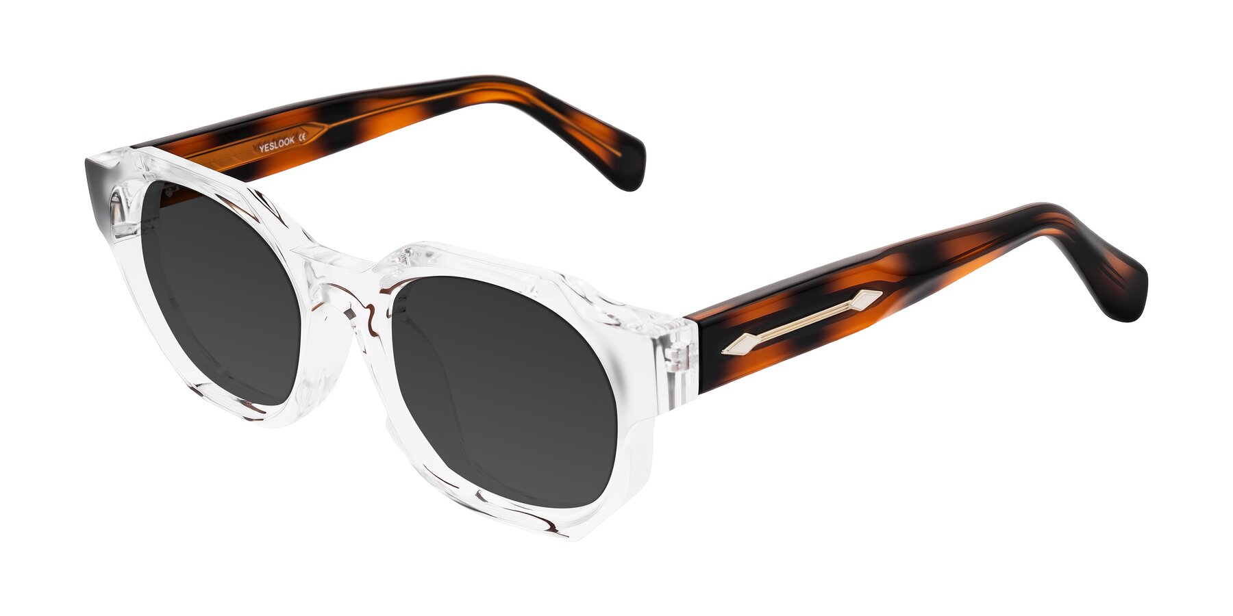 Angle of Poole in Clear/Tortoise with Gray Tinted Lenses