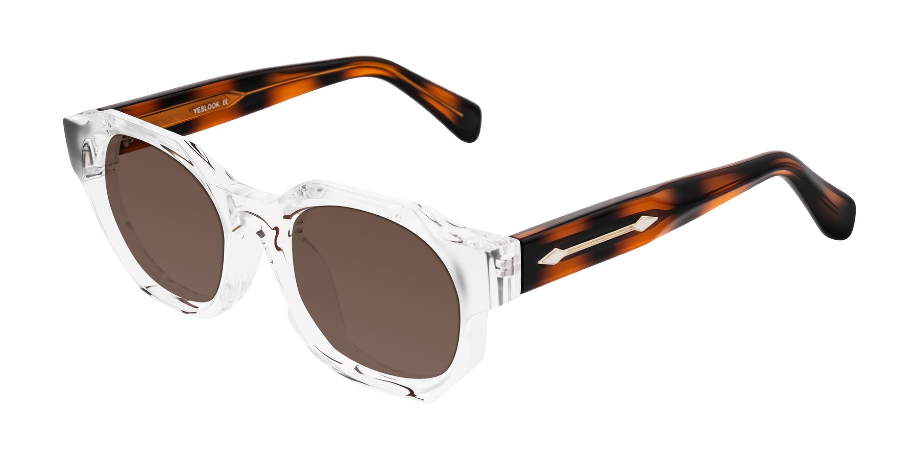 Angle of Poole in Clear/Tortoise with Brown Tinted Lenses