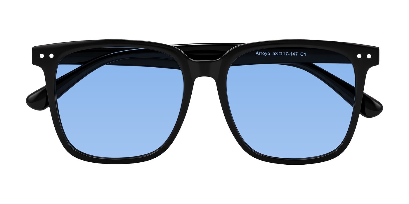 Arroyo - Black Tinted Sunglasses