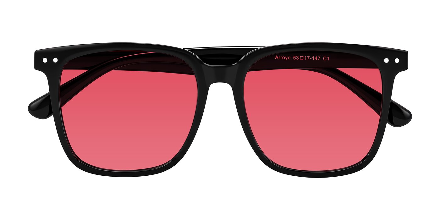 Arroyo - Black Tinted Sunglasses