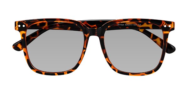 Front of Arroyo in Tortoise