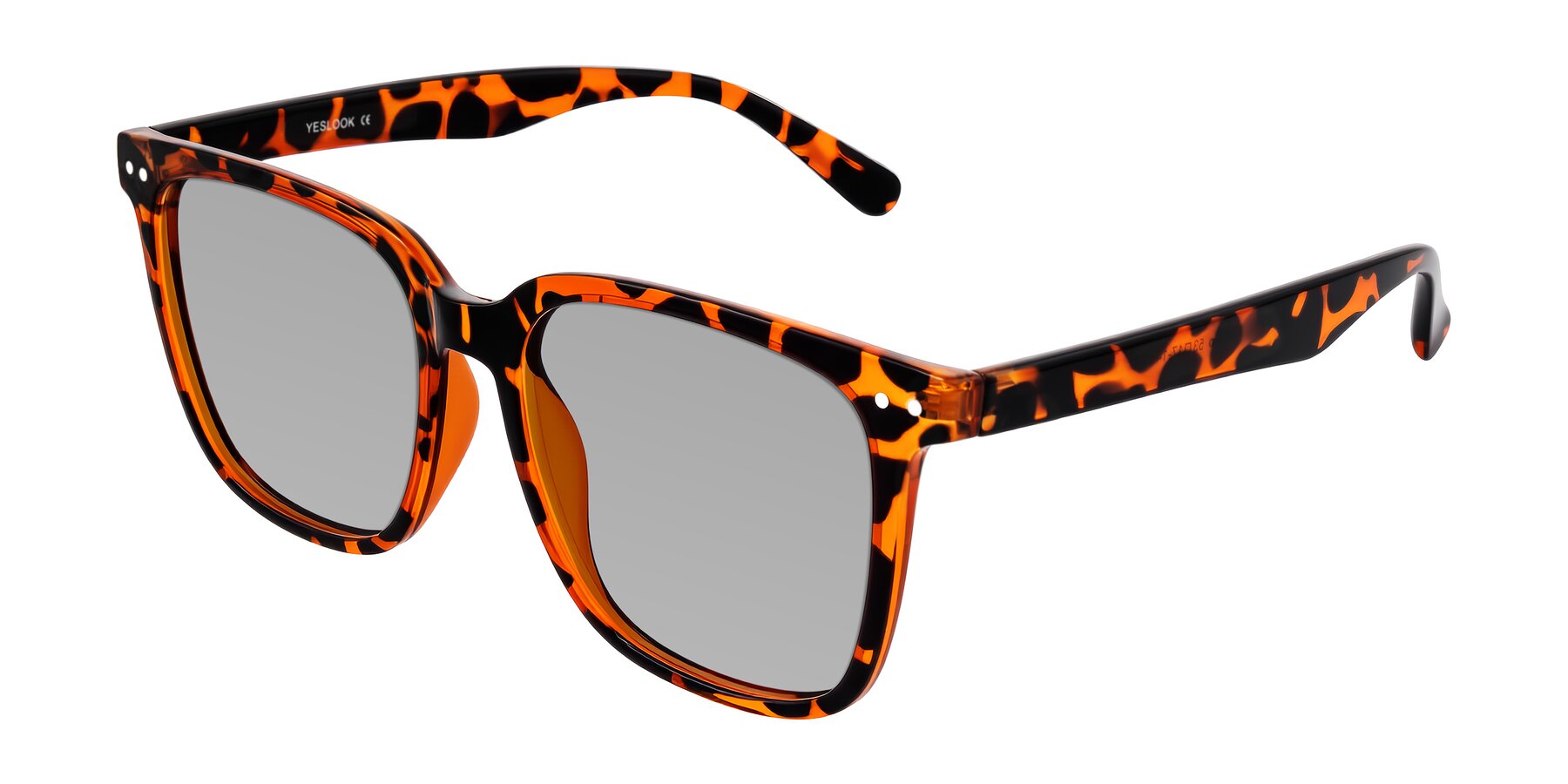 Angle of Arroyo in Tortoise with Light Gray Tinted Lenses